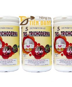 Thuốc phòng trừ nấm bệnh TKS – TRICHODERMA 1kg – T43