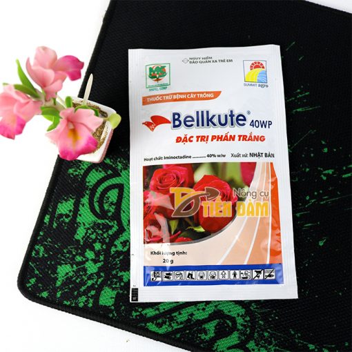 Thuốc đặc trị phấn trắng sương mai trên hoa hồng Bellkute 40WP - T54