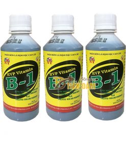 Phân bón kích rễ và cung cấp dưỡng chất cho cây HVP Vitamin B1 – T90