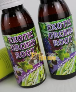Thuốc kích thích và phục hồi rễ cho cây EXOTIC nhập khẩu Thái Lan – T83