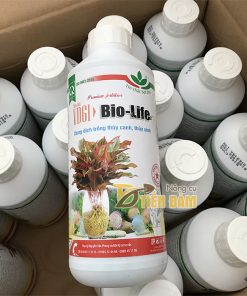 Dung dịch trồng thủy canh BIO-LIFE – T65