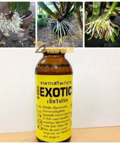 Thuốc phục hồi và kích thích rễ cho lan nhập khẩu Thái Lan Exotic – T64
