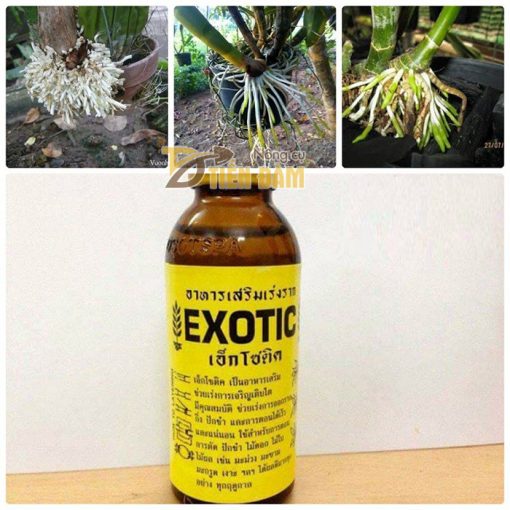 Thuốc phục hồi và kích thích rễ cho lan nhập khẩu Thái Lan Exotic - T64