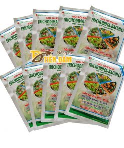Nấm đối kháng tốt rễ xanh cây cho cây trồng Trichodima – T33