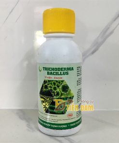 Nấm đối kháng chống vi khuẩn, nấm bệnh  Trichoderma Bacillus – T101