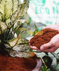 Giá thể trồng hoa và cây cảnh Mụn xơ dừa – GT15