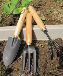 Bộ dụng cụ làm vườn mini 3 chi tiết – D17