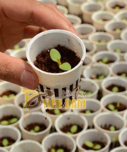 Giá thể trồng hoa và cây cảnh Mụn xơ dừa – GT15
