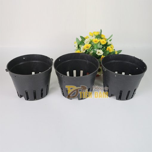 5 chậu nhựa trồng lan phi 14 màu đen - CN5