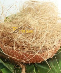 Giá thể trồng lan sơ dừa sợi – GT14
