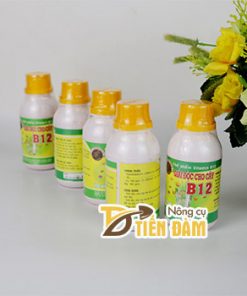 Chế phẩm VITAMIN B12 với cây trồng giải độc cây – T134
