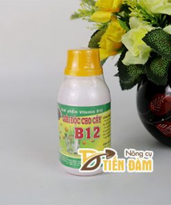 Chế phẩm VITAMIN B12 với cây trồng giải độc cây – T134