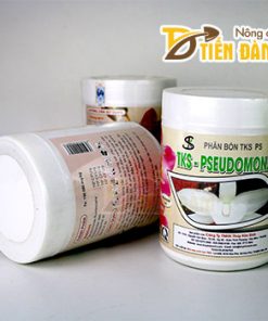 TKS – PSEUDOMONAS phân bón diệt nấm khuẩn – T133
