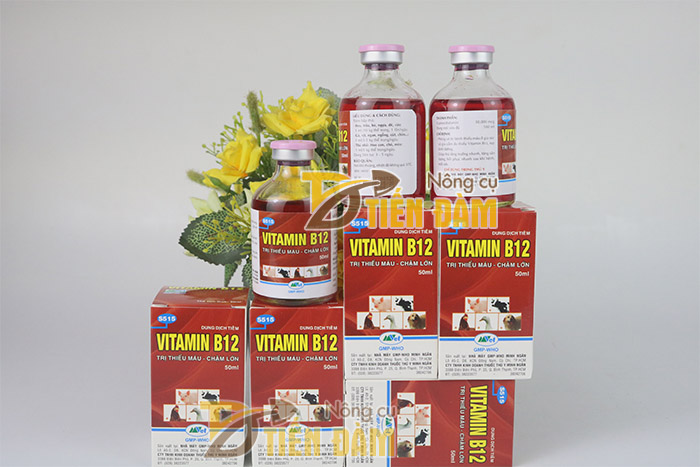 Chế phẩm vitamin B12 chống sốc cho lan khi mới chuyển chậu