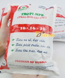 Phân bón gốc kích rễ, bật chồi mạnh Premium 16-16-16 TE – T77