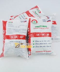 Phân bón gốc kích rễ, bật chồi mạnh Premium 16-16-16 TE – T77
