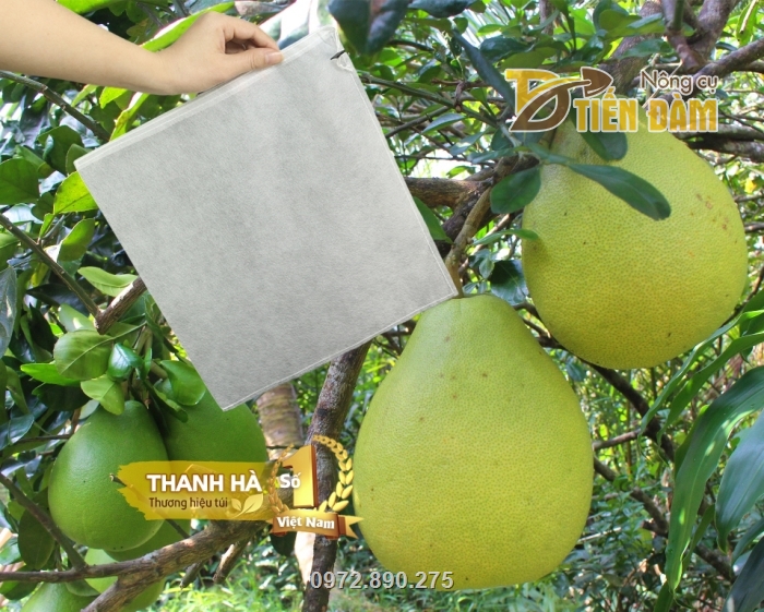 Bao trái cây giúp bảo vệ trái khỏi côn trùng châm chích