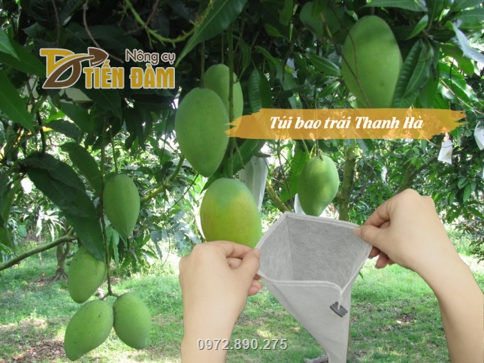 Túi bao trái cây thương hiệu Thanh Hà là sản phẩm được nhiều nhà vườn sử dụng