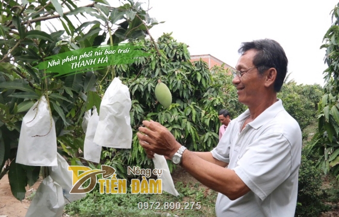 Sản phẩm túi bao trái cây được nhiều nhà vườn lựa chọn sử dụng