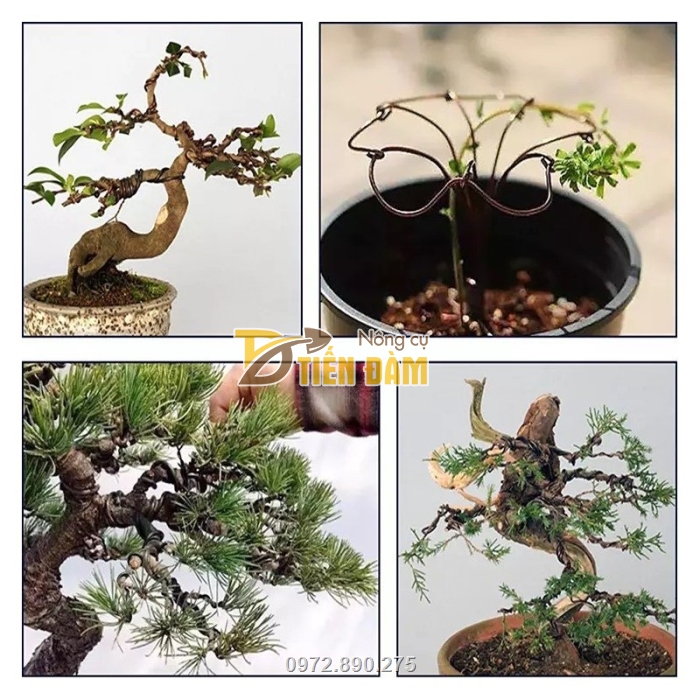 Dây được dùng uốn tạo các dáng cho bonsai, cây cảnh