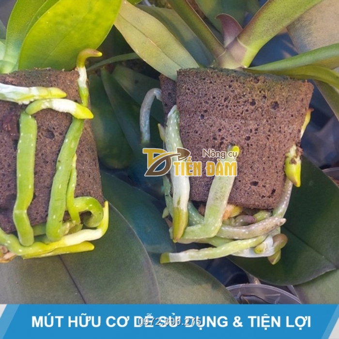 Sản phẩm dạng bọt biển, bông xốp mềm giúp rễ cây phát triển mạnh Sản phẩm dạng bọt biển, bông xốp mềm giúp rễ cây phát triển mạnh