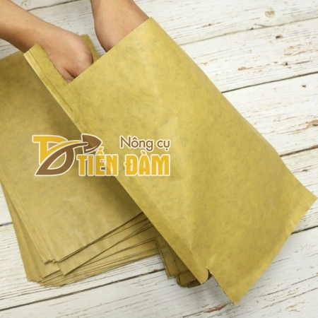 Túi bao trái xoài Thanh Hà bằng giấy 2 lớp chất lượng tốt 20x30cm