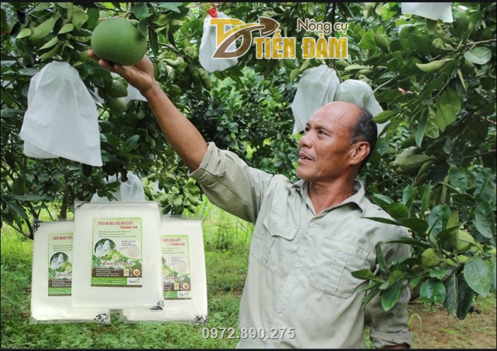 Túi vải bao trái cây Thanh Hà là sản phẩm được nhiều nhà vườn sử dụng