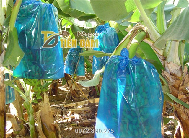 Sản phẩm túi bao buồng chuối được nhiều nhà vườn lựa chọn sử dụng