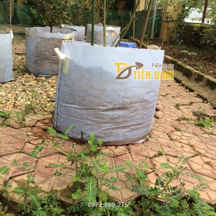 Túi trồng cây có tính năng thẩm thấu và thoát nước cao, giúp cây không bị tồn đọng nước